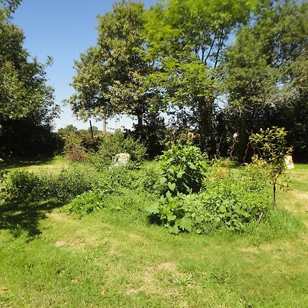 Tranquille Vienne Gites A Chirac Dept Charente Dış mekan fotoğraf