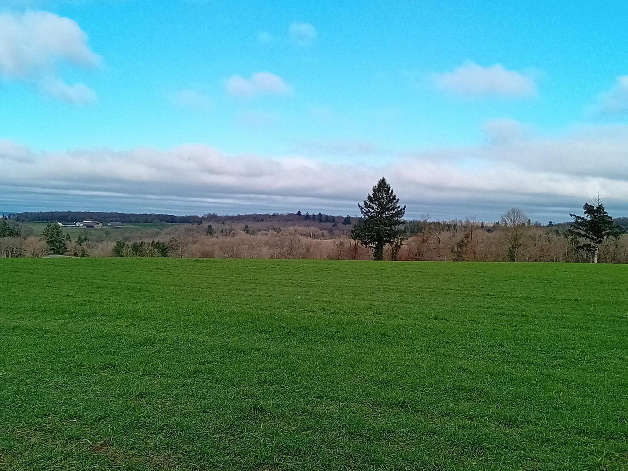Tranquille Vienne Gites A Chirac Dept Charente Dış mekan fotoğraf
